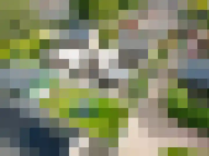 De Roe 6 Grootegast thumbnail 67