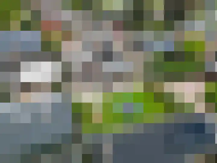 De Roe 6 Grootegast thumbnail 68