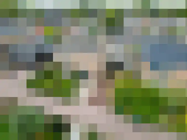 De Roe 6 Grootegast thumbnail 69