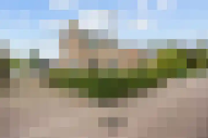 De Roe 6 Grootegast thumbnail 7