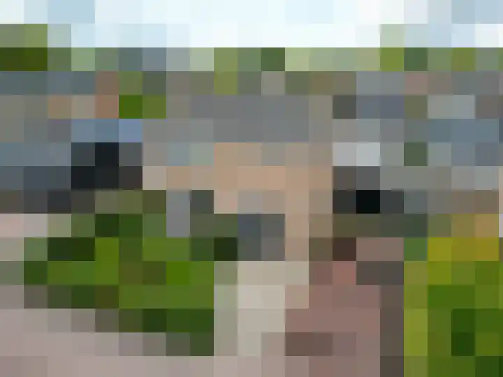 De Roe 6 Grootegast thumbnail 70