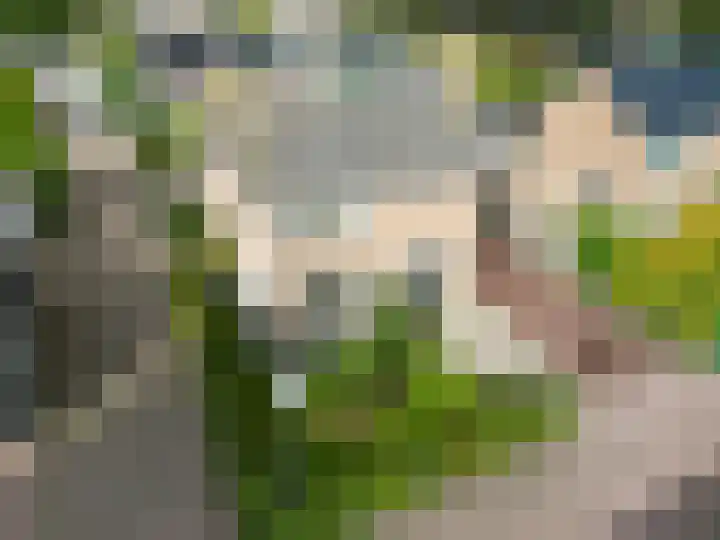 De Roe 6 Grootegast thumbnail 71