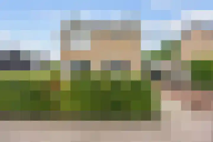 De Roe 6 Grootegast thumbnail 8