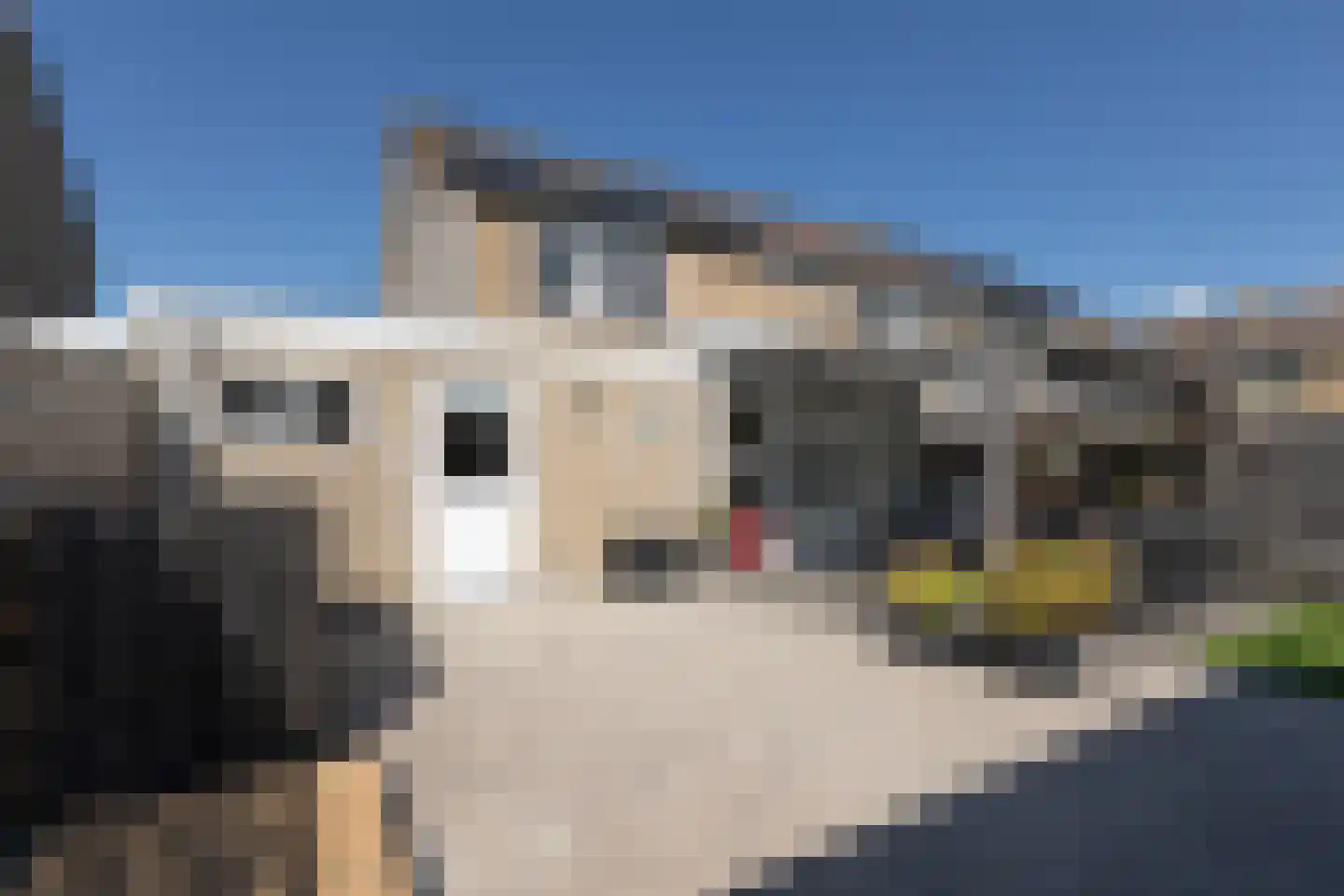 De Roeden 21 Bolsward thumbnail 37