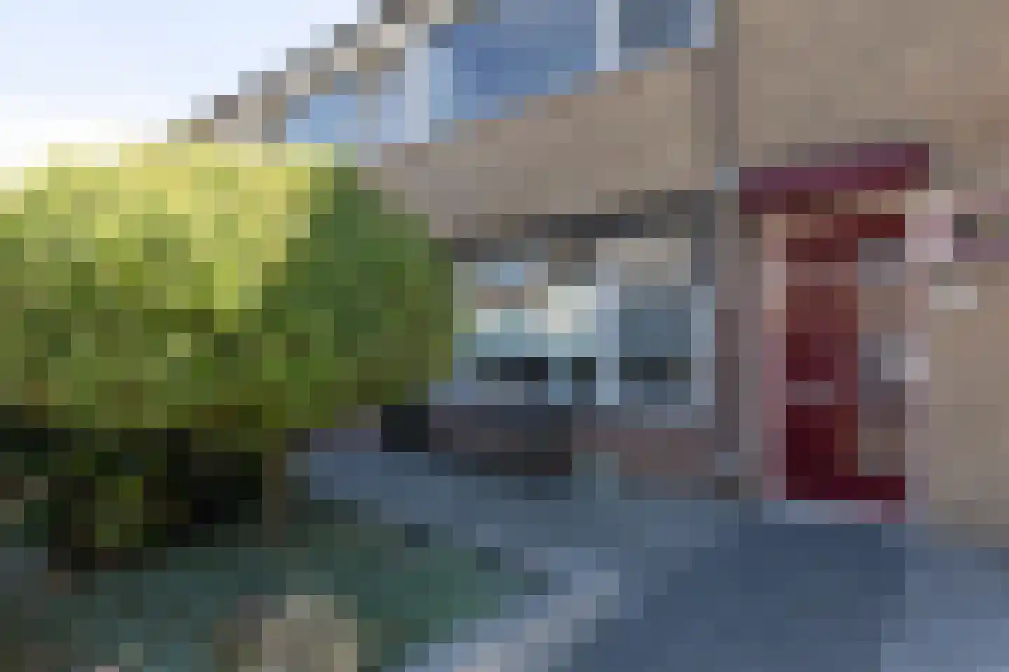 De Roeden 21 Bolsward thumbnail 39