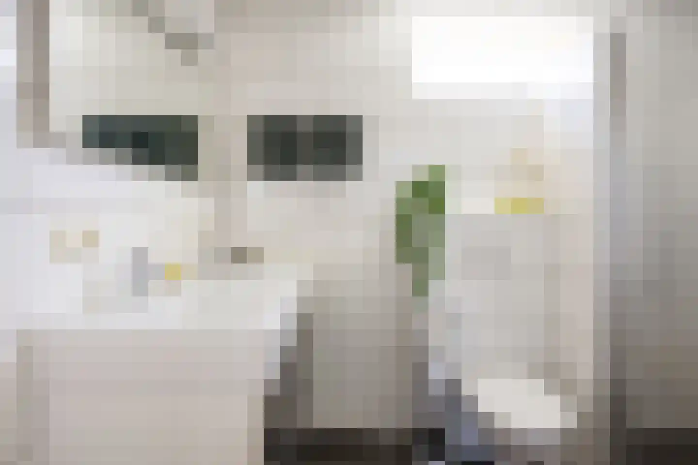 De Roeden 6 Slochteren thumbnail 35