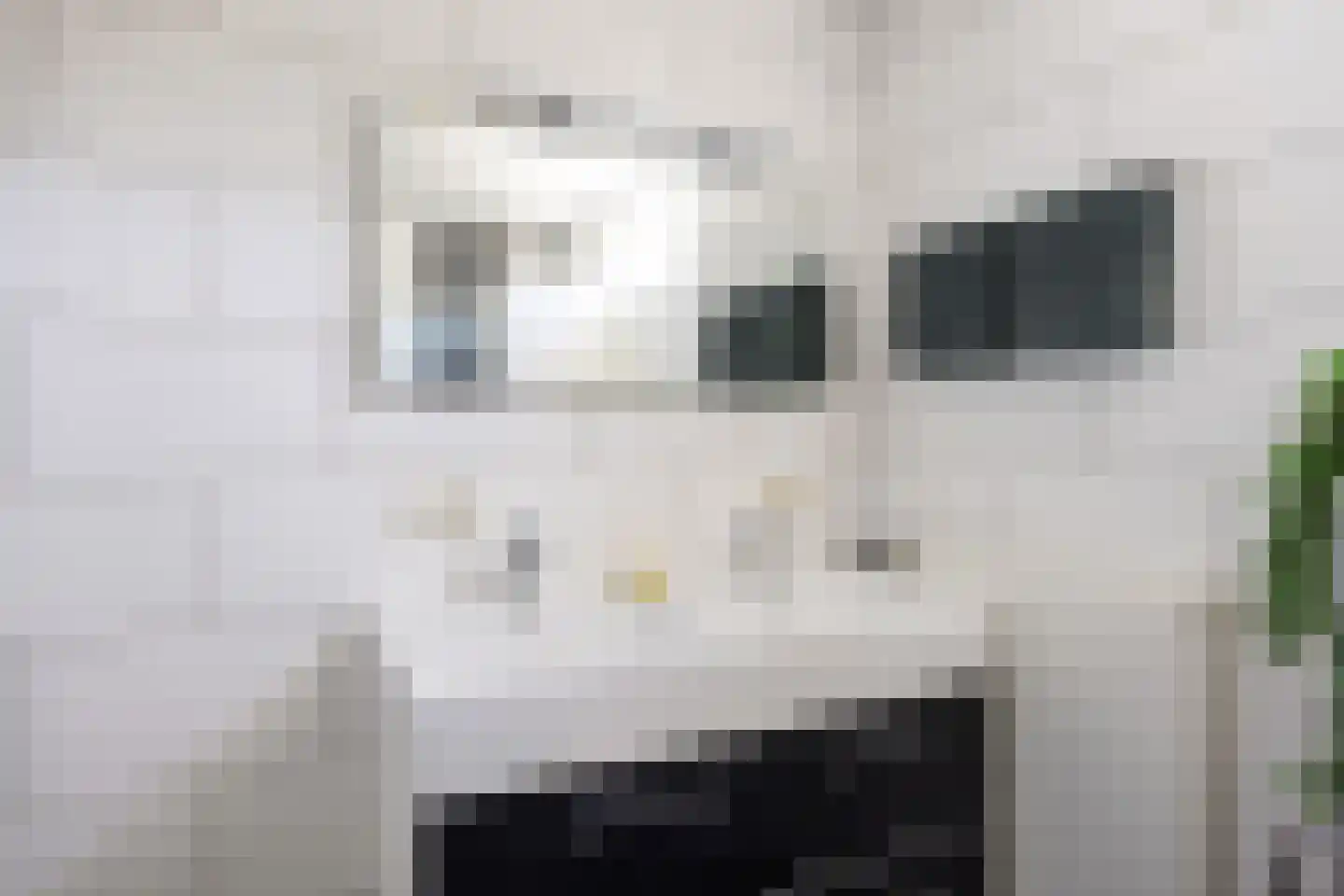 De Roeden 6 Slochteren thumbnail 38