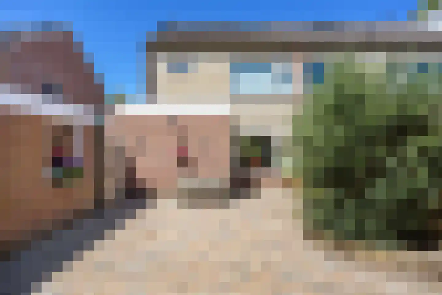 De Roeden 6 Slochteren thumbnail 46