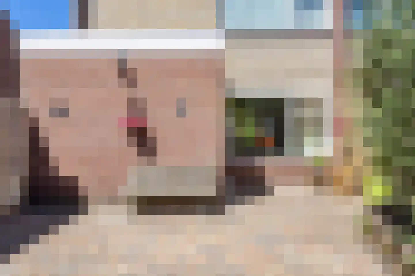 De Roeden 6 Slochteren thumbnail 48