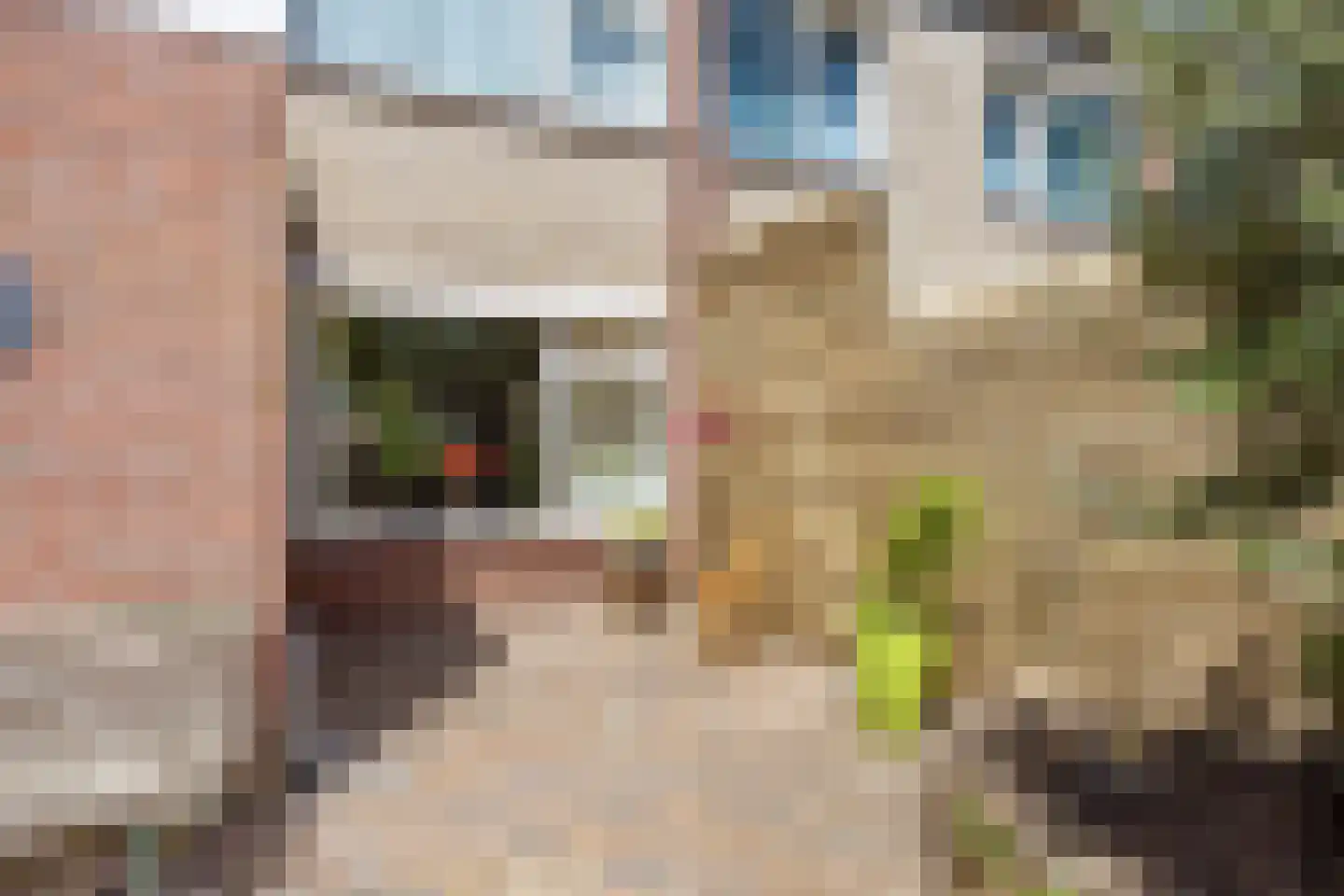 De Roeden 6 Slochteren thumbnail 49