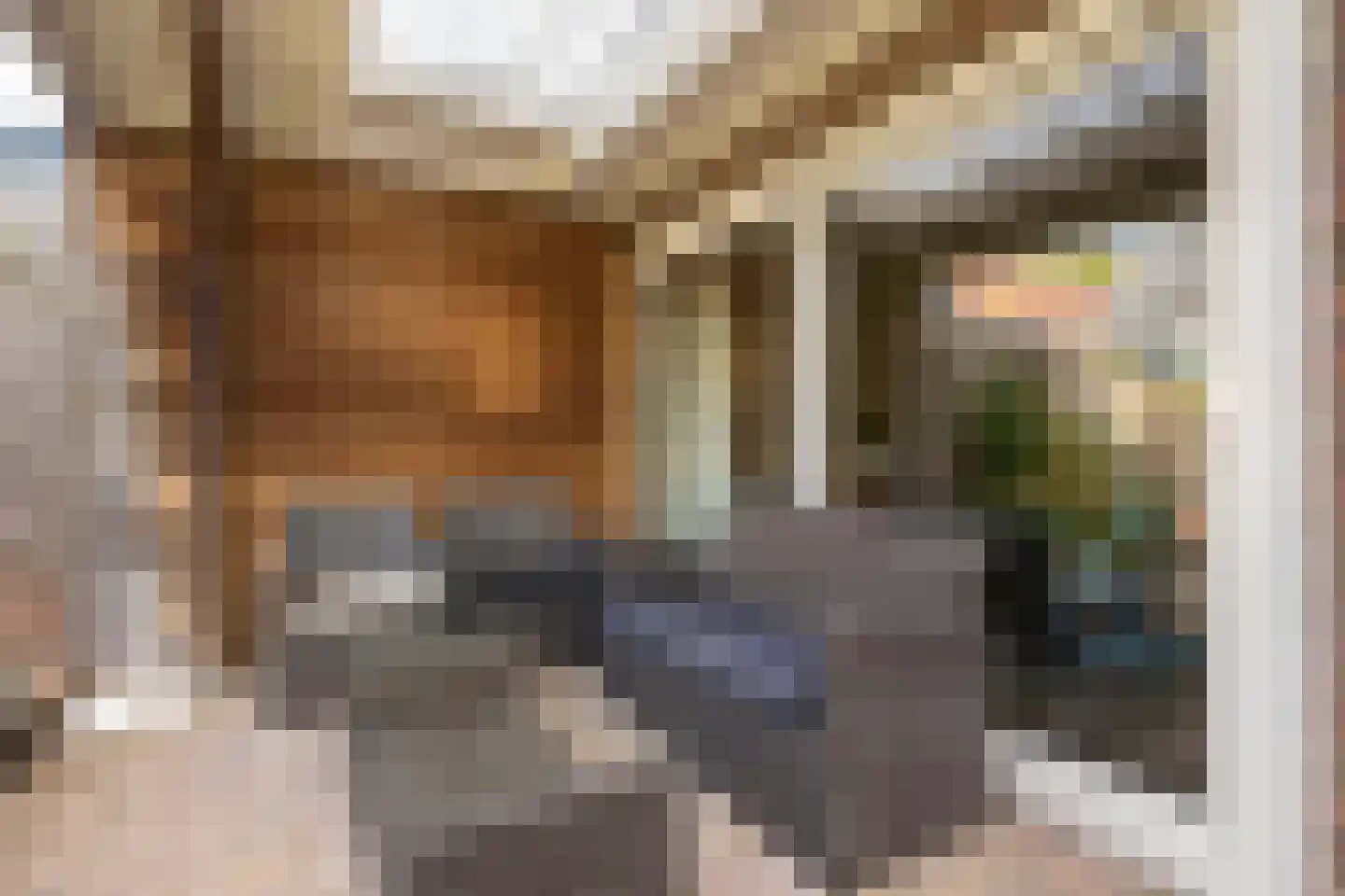 De Roef 12 Veenendaal thumbnail 30