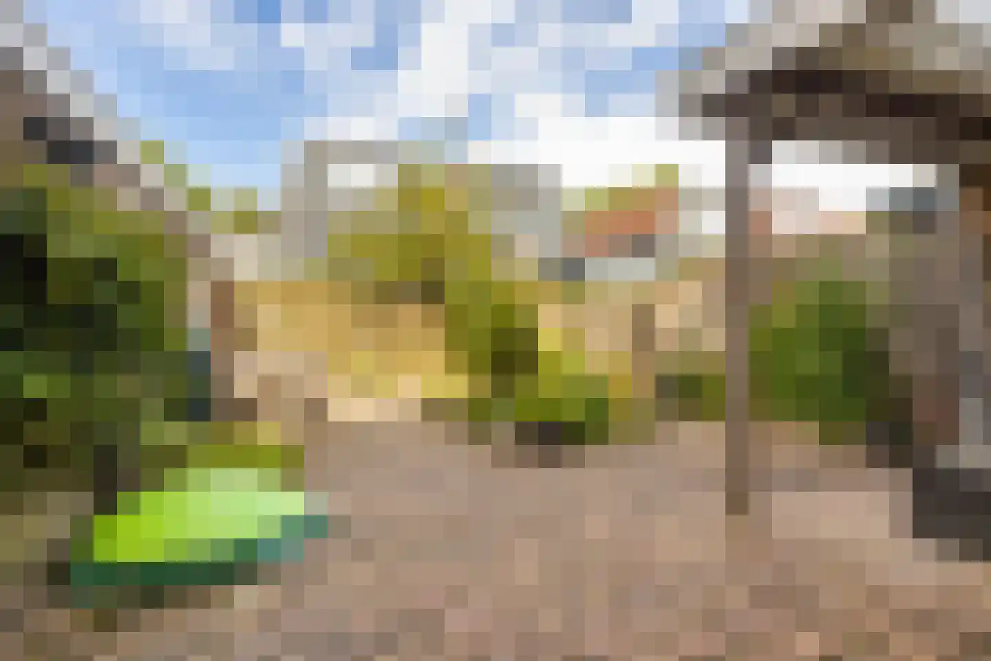De Roef 12 Veenendaal thumbnail 31