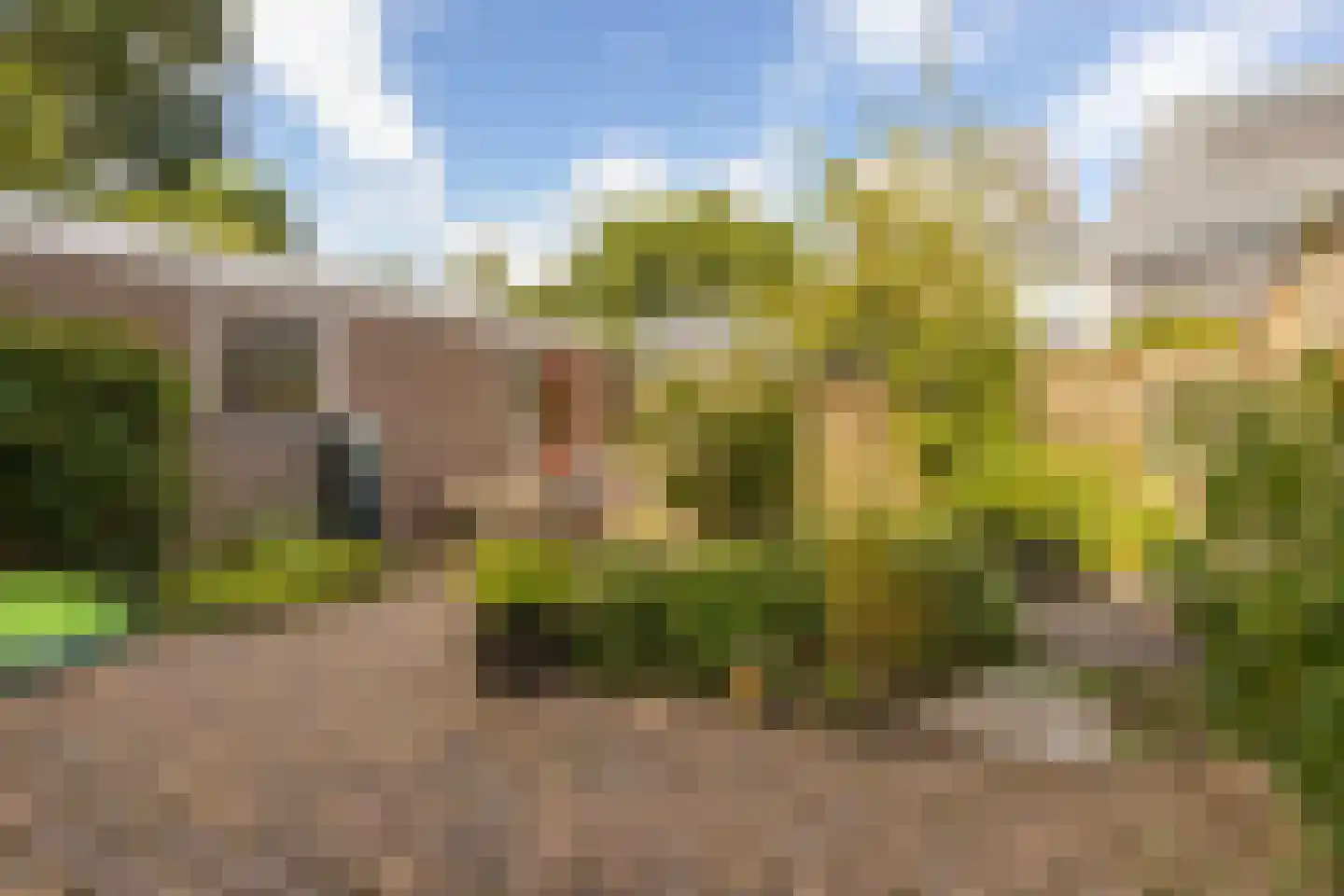 De Roef 12 Veenendaal thumbnail 32
