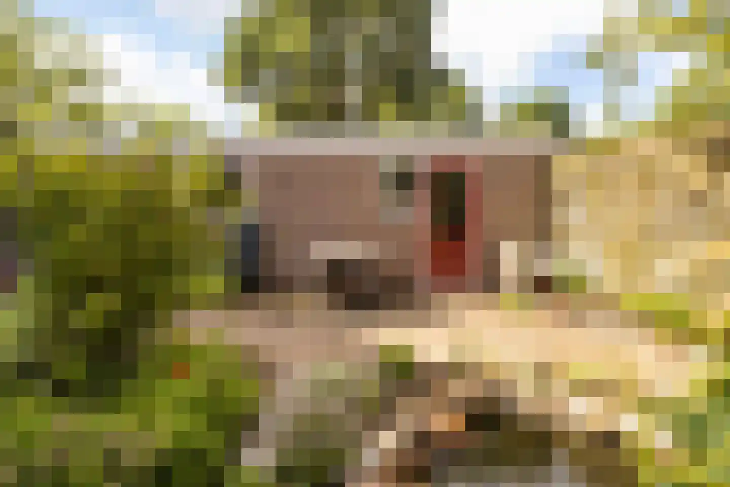 De Roef 12 Veenendaal thumbnail 33