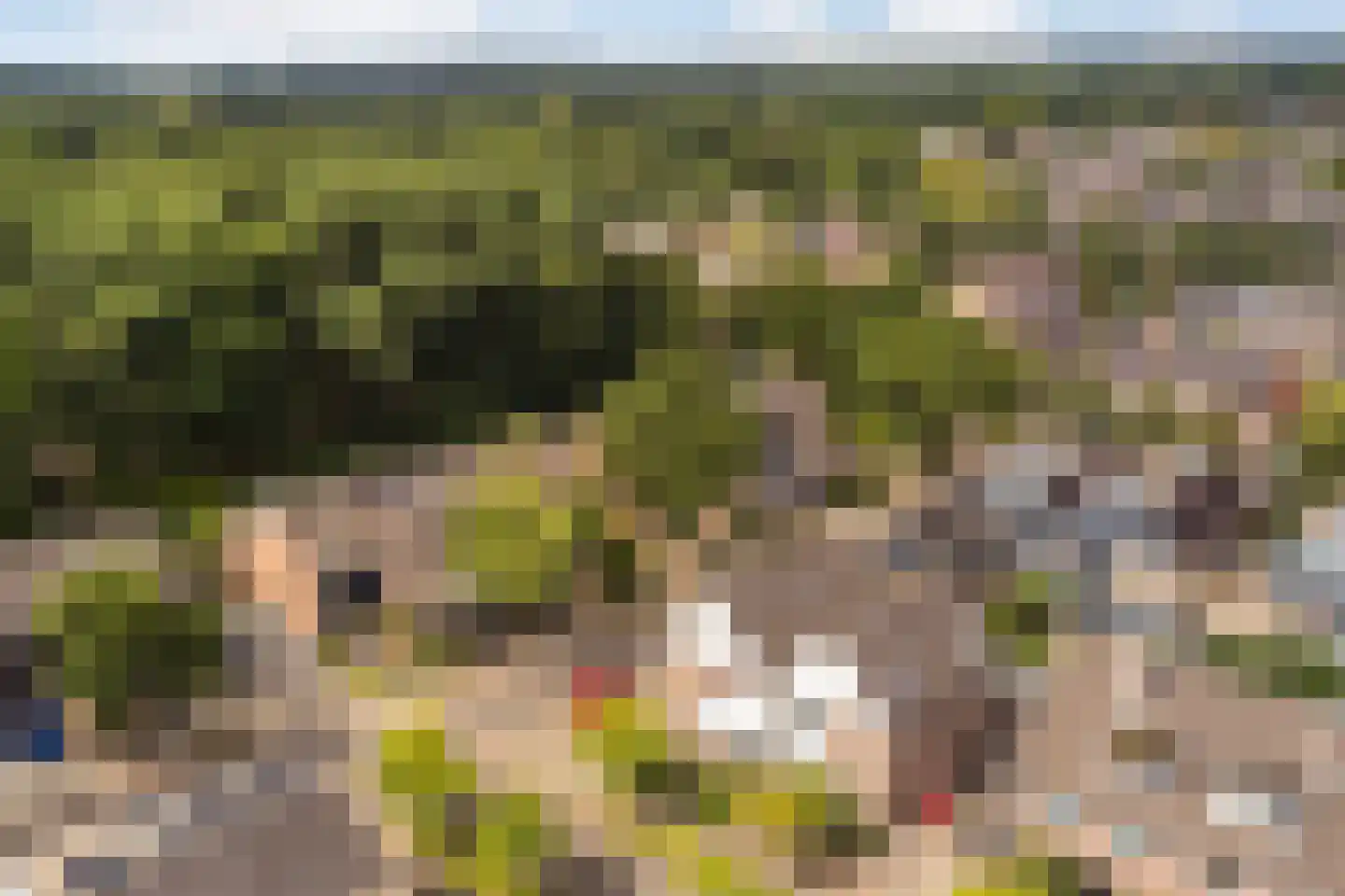 De Roef 12 Veenendaal thumbnail 37