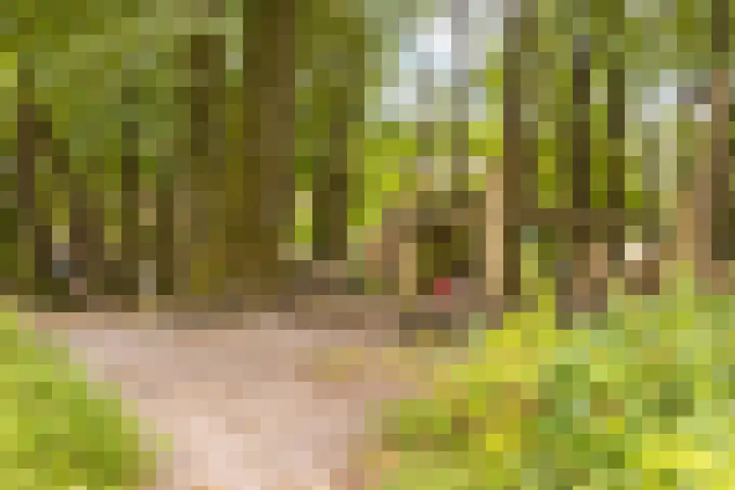 De Roef 12 Veenendaal thumbnail 39