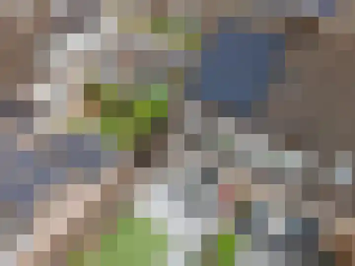 de Roef 19 Raamsdonksveer thumbnail 10