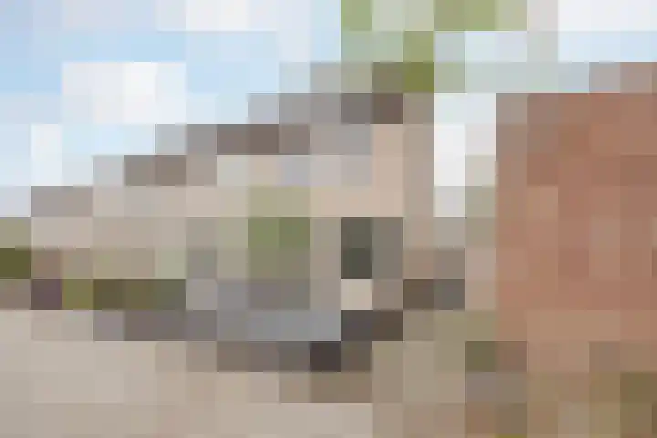 de Roef 19 Raamsdonksveer thumbnail 12