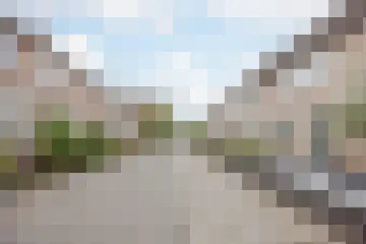 de Roef 19 Raamsdonksveer thumbnail 13