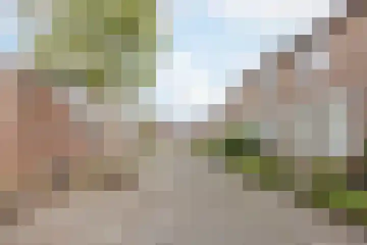 de Roef 19 Raamsdonksveer thumbnail 14