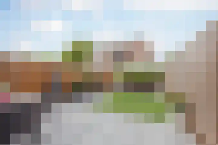 de Roef 19 Raamsdonksveer thumbnail 17