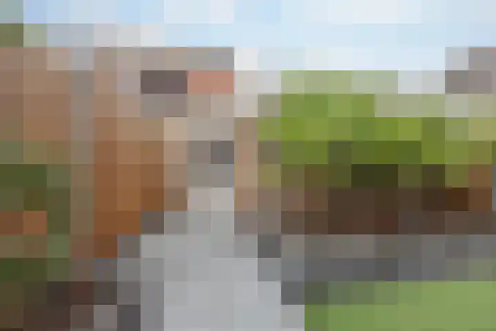 de Roef 19 Raamsdonksveer thumbnail 19