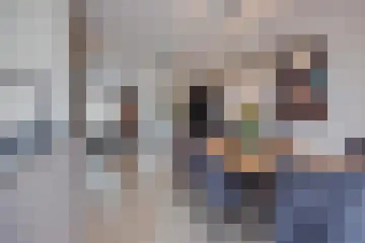 de Roef 19 Raamsdonksveer thumbnail 31