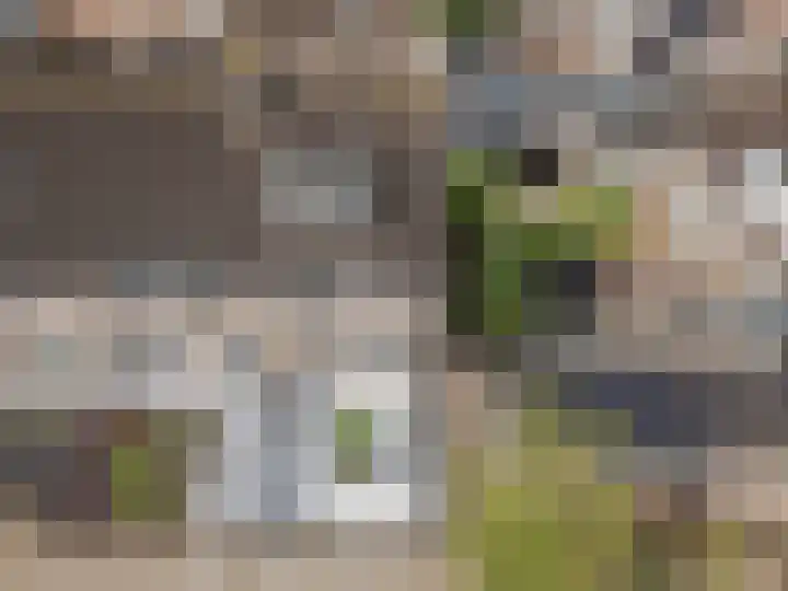 de Roef 19 Raamsdonksveer thumbnail 7