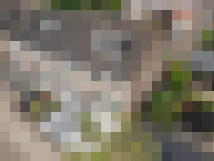 de Roef 19 Raamsdonksveer thumbnail 8