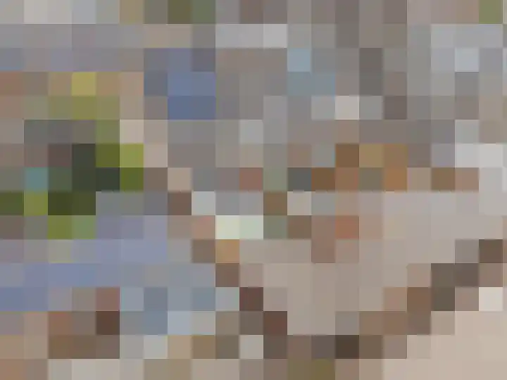 de Roef 19 Raamsdonksveer thumbnail 9