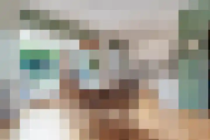 De Roerdomp 12 Dedemsvaart thumbnail 10