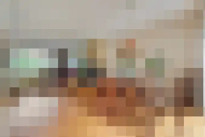 De Roerdomp 12 Dedemsvaart thumbnail 11