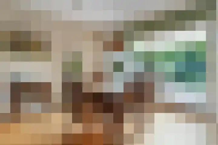 De Roerdomp 12 Dedemsvaart thumbnail 12