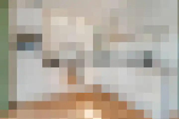 De Roerdomp 12 Dedemsvaart thumbnail 13