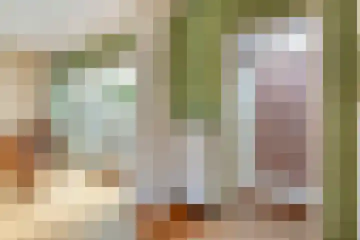 De Roerdomp 12 Dedemsvaart thumbnail 15