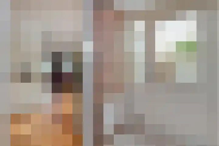 De Roerdomp 12 Dedemsvaart thumbnail 16