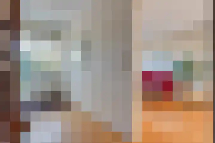 De Roerdomp 12 Dedemsvaart thumbnail 18