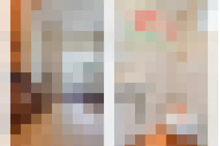 De Roerdomp 12 Dedemsvaart thumbnail 19