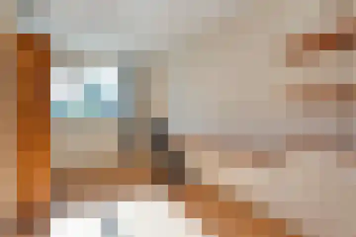 De Roerdomp 12 Dedemsvaart thumbnail 23