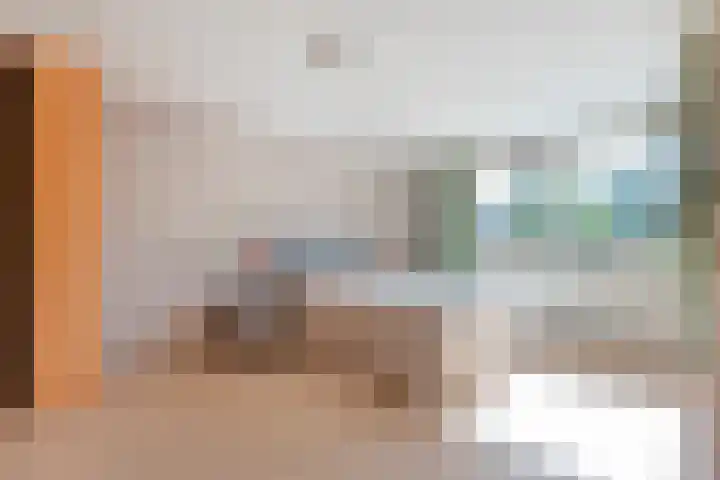 De Roerdomp 12 Dedemsvaart thumbnail 25