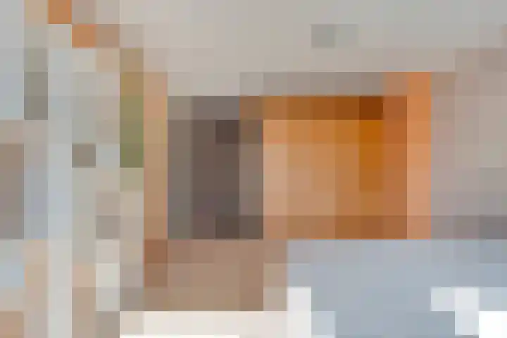 De Roerdomp 12 Dedemsvaart thumbnail 26