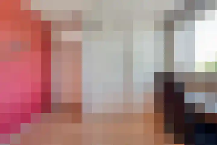 De Roerdomp 12 Dedemsvaart thumbnail 28
