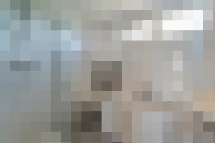 De Roerdomp 12 Dedemsvaart thumbnail 29