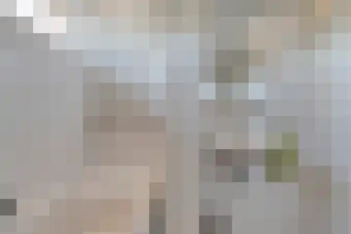 De Roerdomp 12 Dedemsvaart thumbnail 30