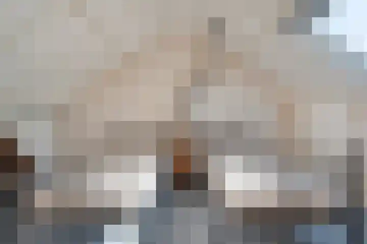 De Roerdomp 12 Dedemsvaart thumbnail 33