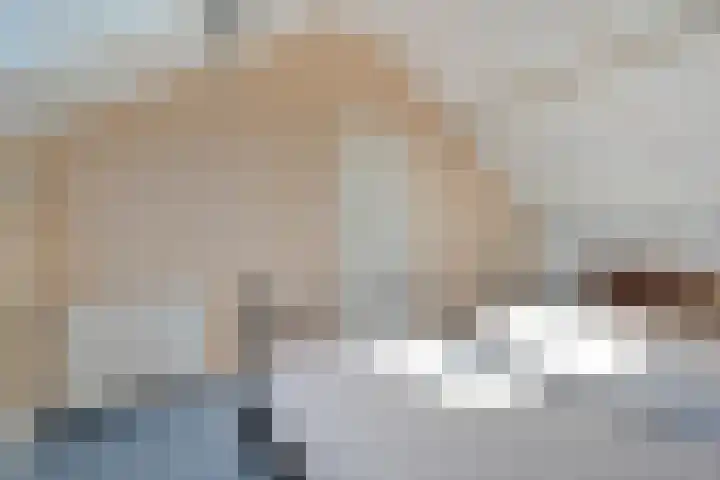 De Roerdomp 12 Dedemsvaart thumbnail 34