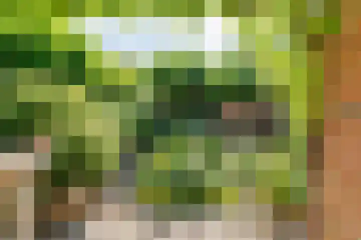 De Roerdomp 12 Dedemsvaart thumbnail 36