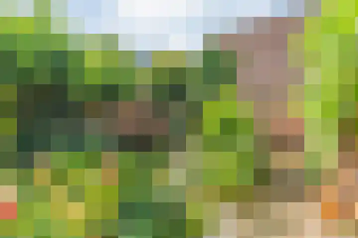 De Roerdomp 12 Dedemsvaart thumbnail 37