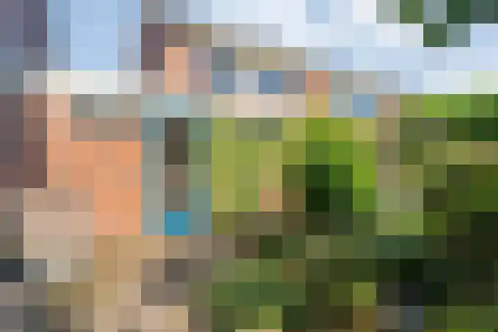 De Roerdomp 12 Dedemsvaart thumbnail 38