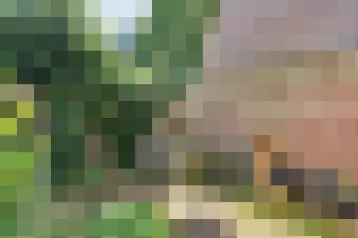 De Roerdomp 12 Dedemsvaart thumbnail 39